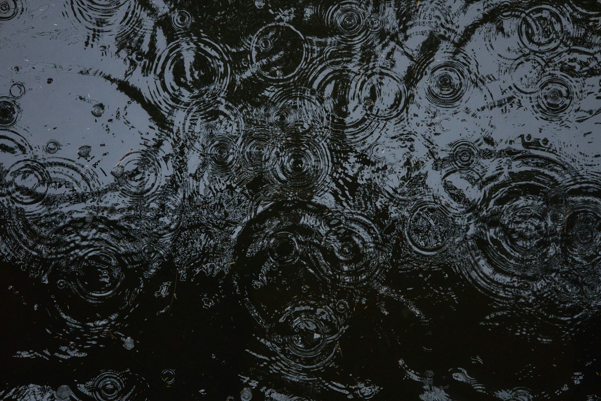 Raindrops hitting dark water