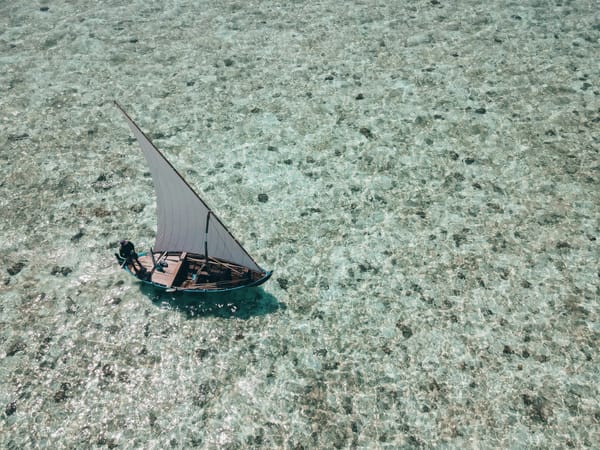 Toy sailboat in water