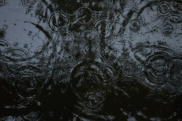 Raindrops hitting dark water